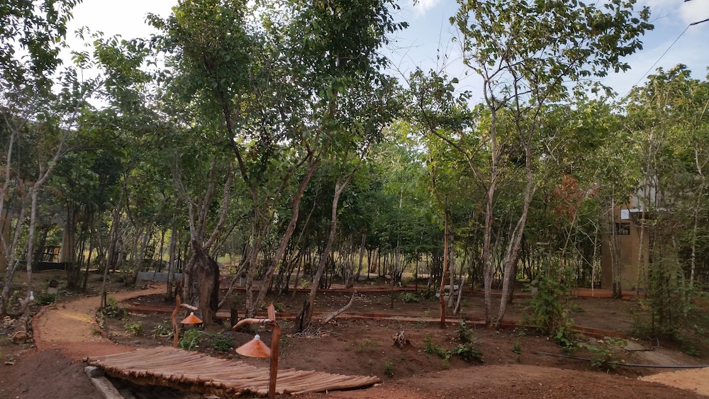 Sigiri Wilderness Resort