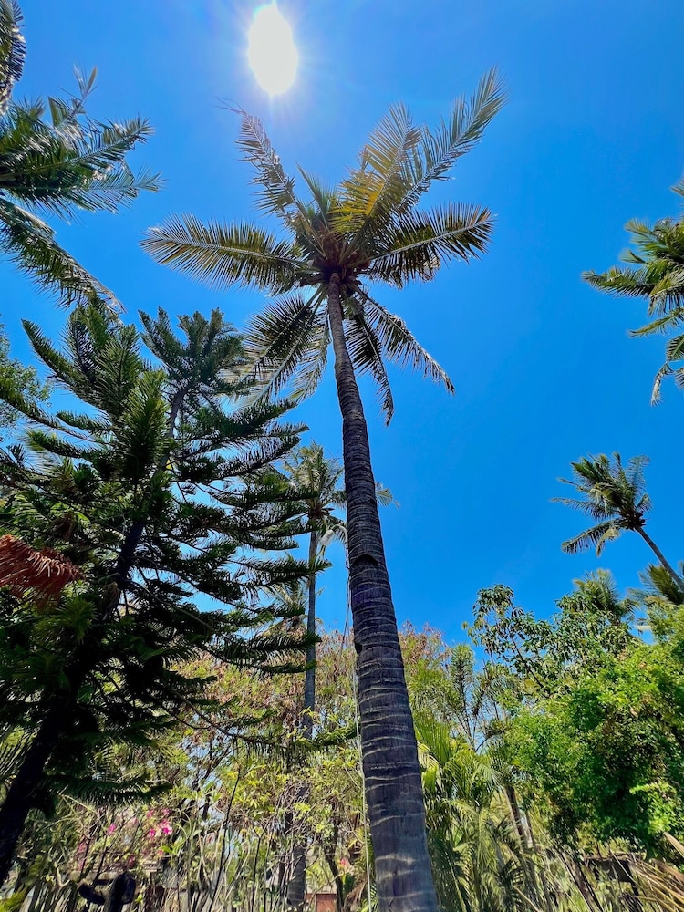 Villa Bulan Madu Gili Air