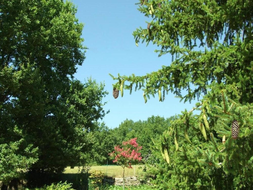 Photo 48
