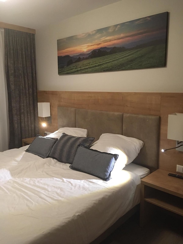 Feldberg Lodge view 2