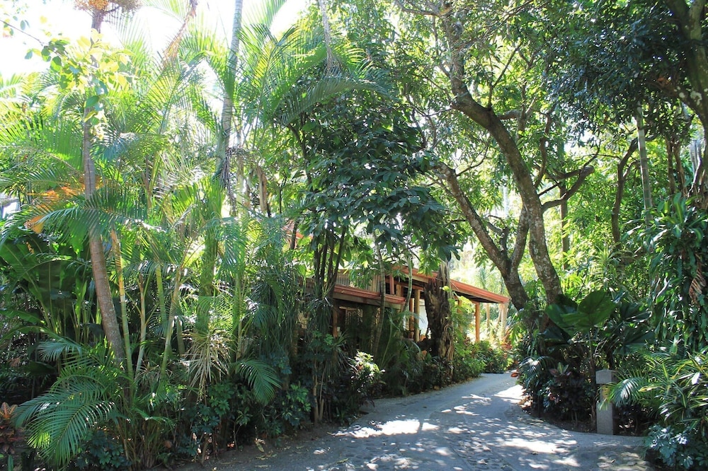 Costa Verde Inn - Property Image 2