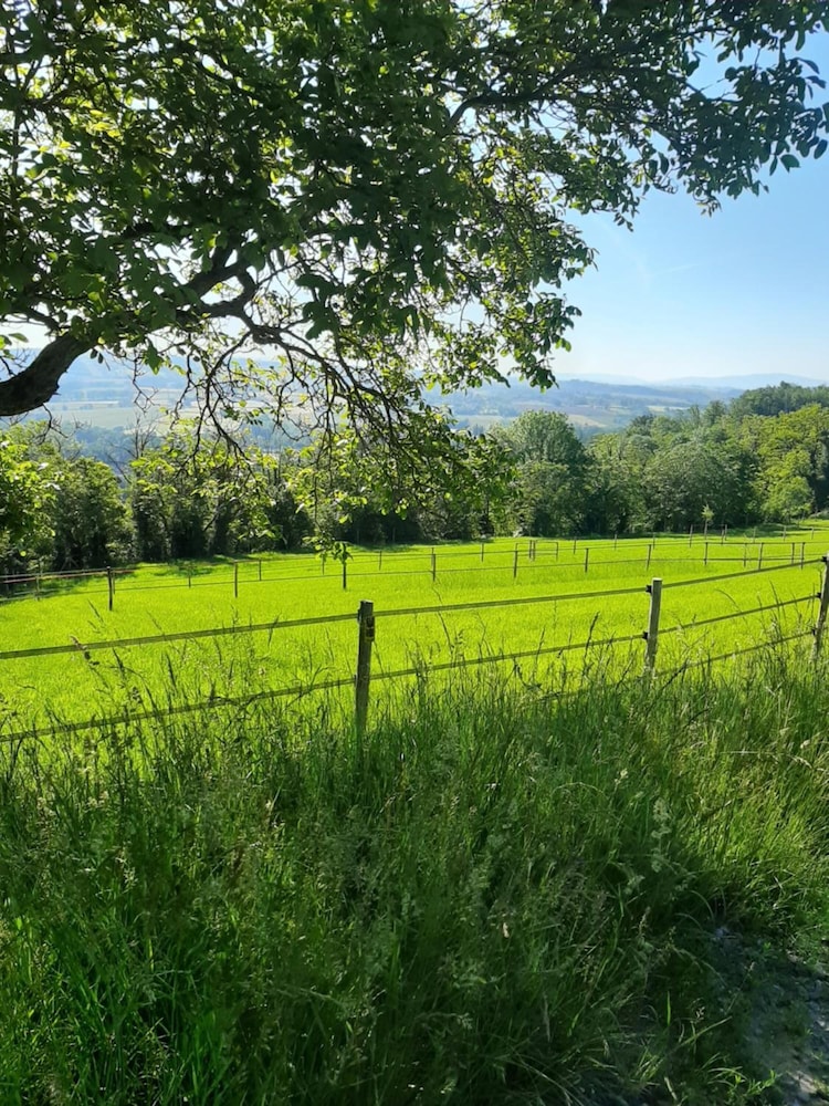 Le Feneau view 4