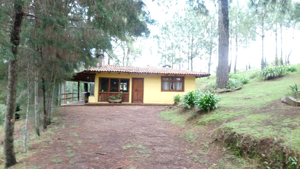 Hotel Cabanas El Pinar