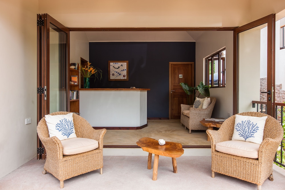 L'Hirondelle photo 2