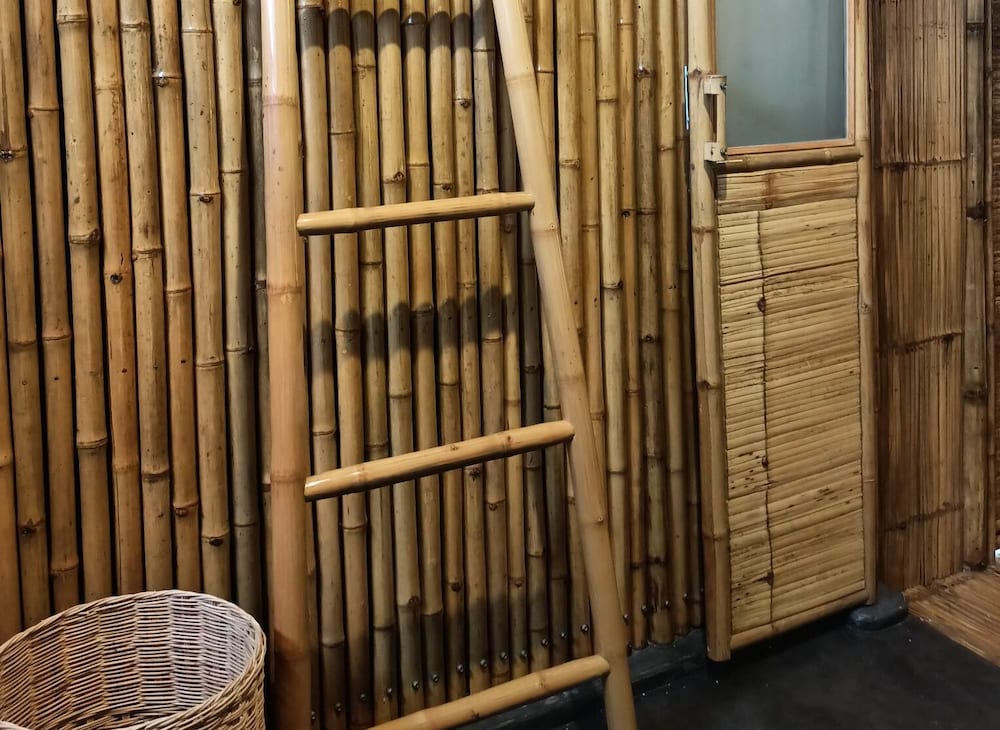 Bamboo Conservation Farm