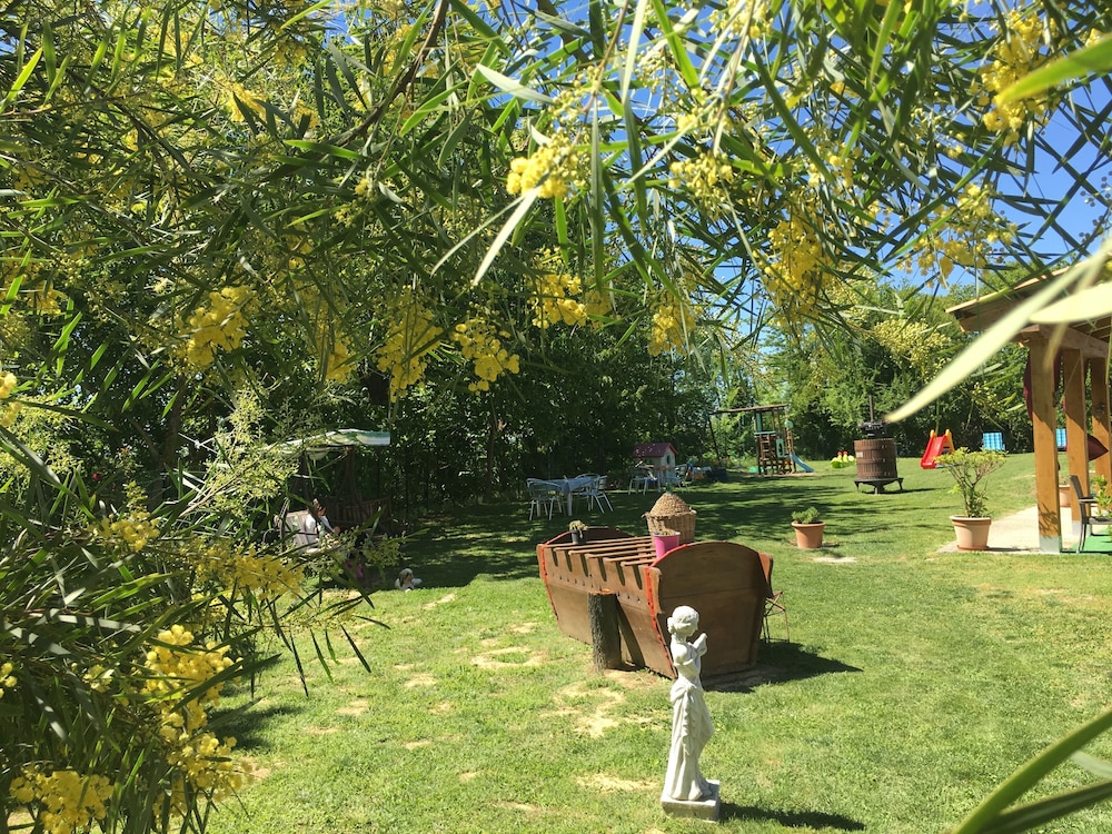 La Rosa Tra Le Vigne