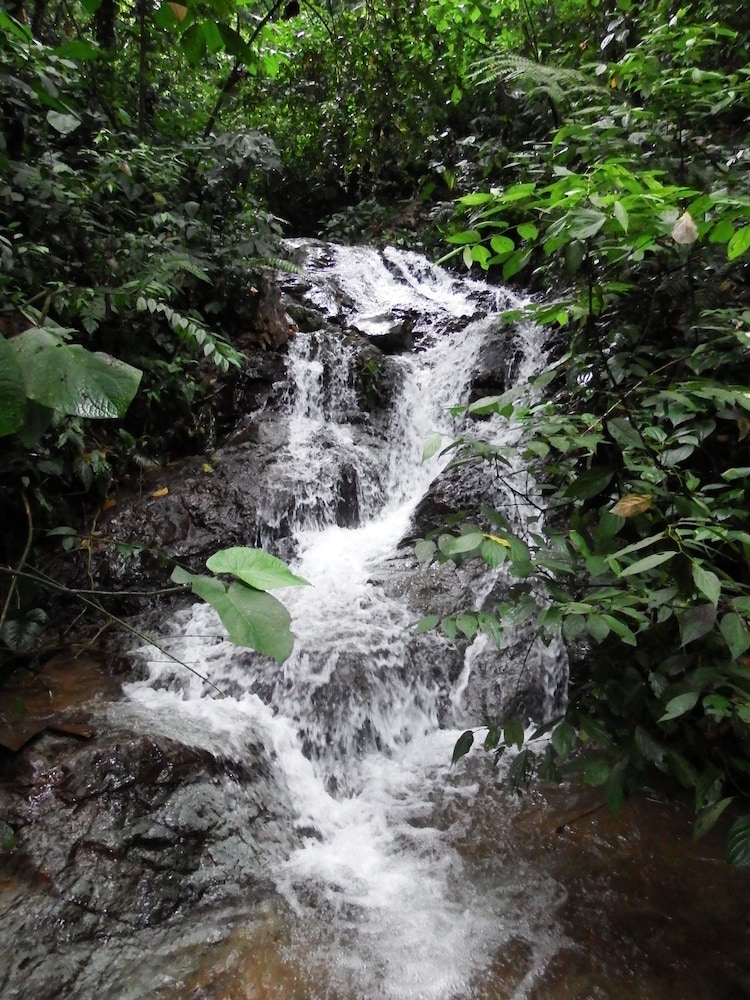 Jardin de los Suenos
