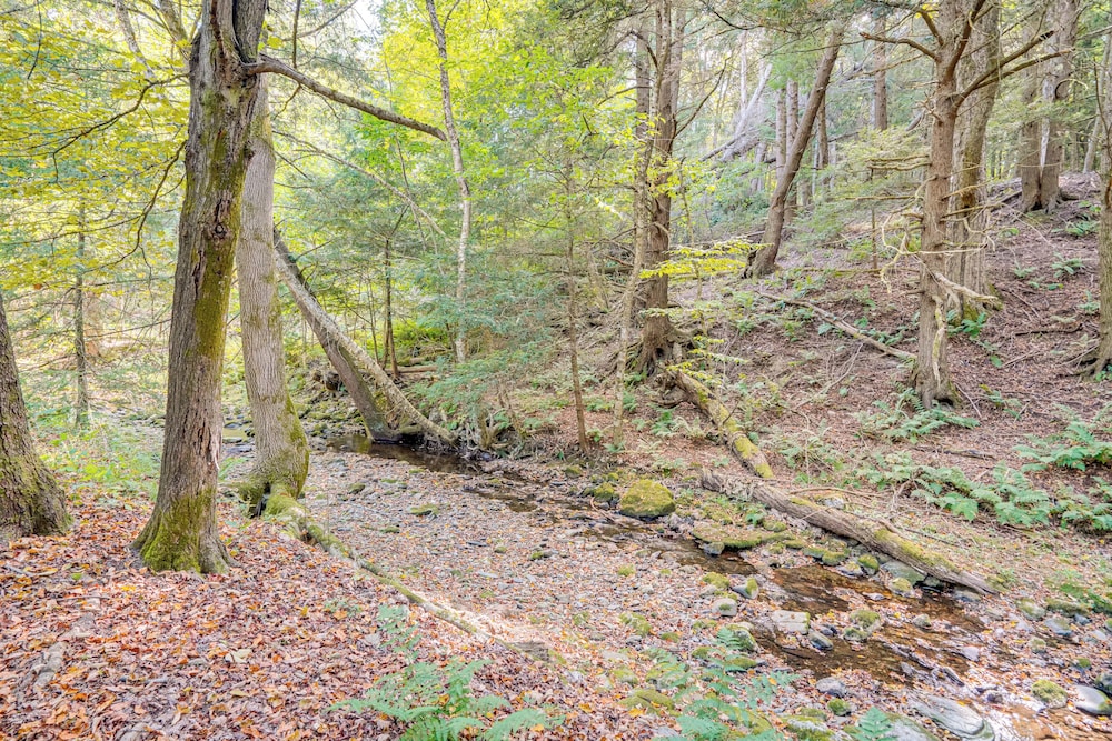 Quiet All-season Creekside Escape in Upstate!
