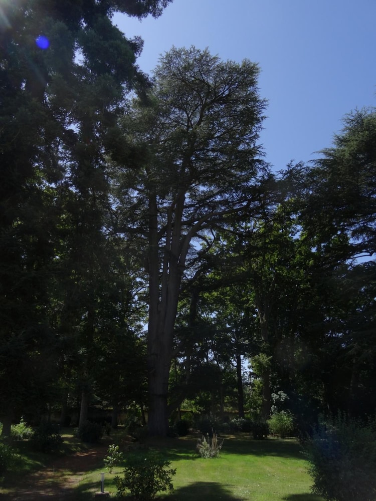Manoir de la Voûte