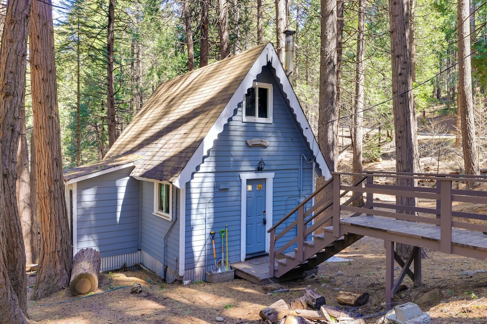 Hike, Ski & Sip: Arnold Cabin 4 Mi to State Park!