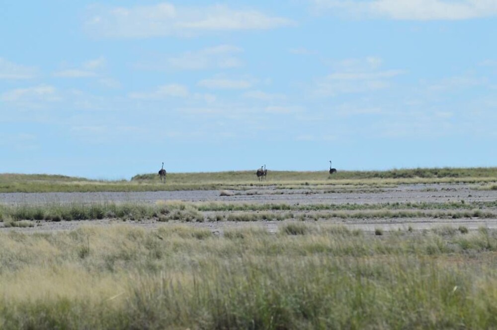 Phudzi Resort T/A Makgadikgadi Adventures