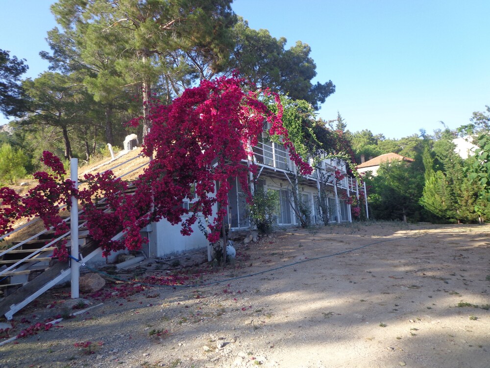 Farmhill Pension view 3