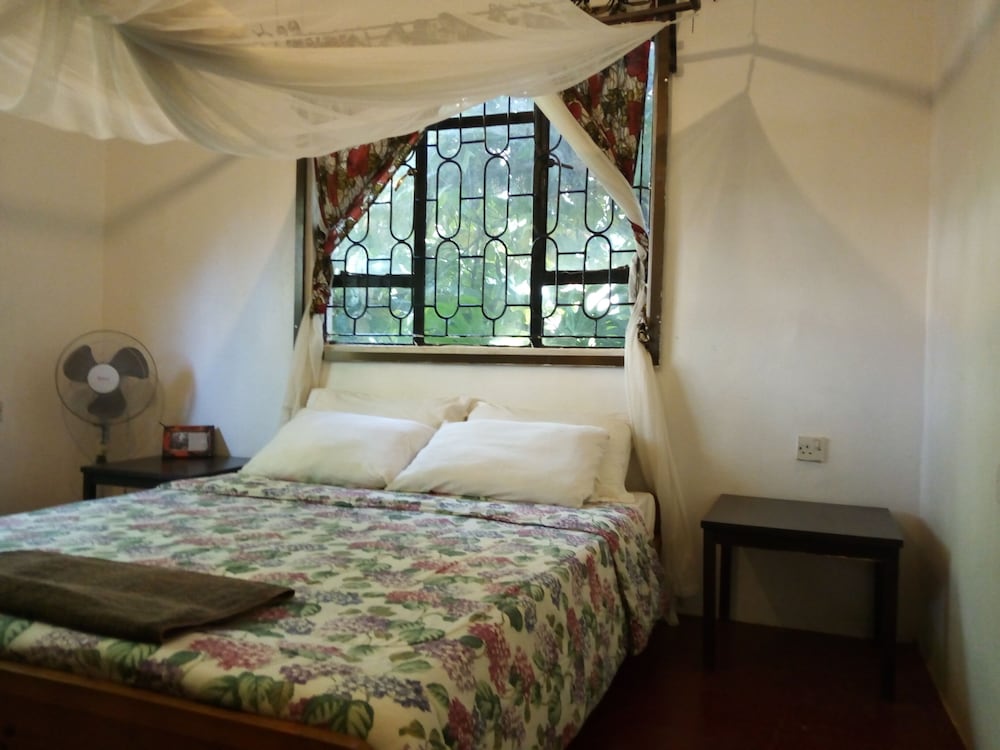 Jutland Lodge Moshi view 2