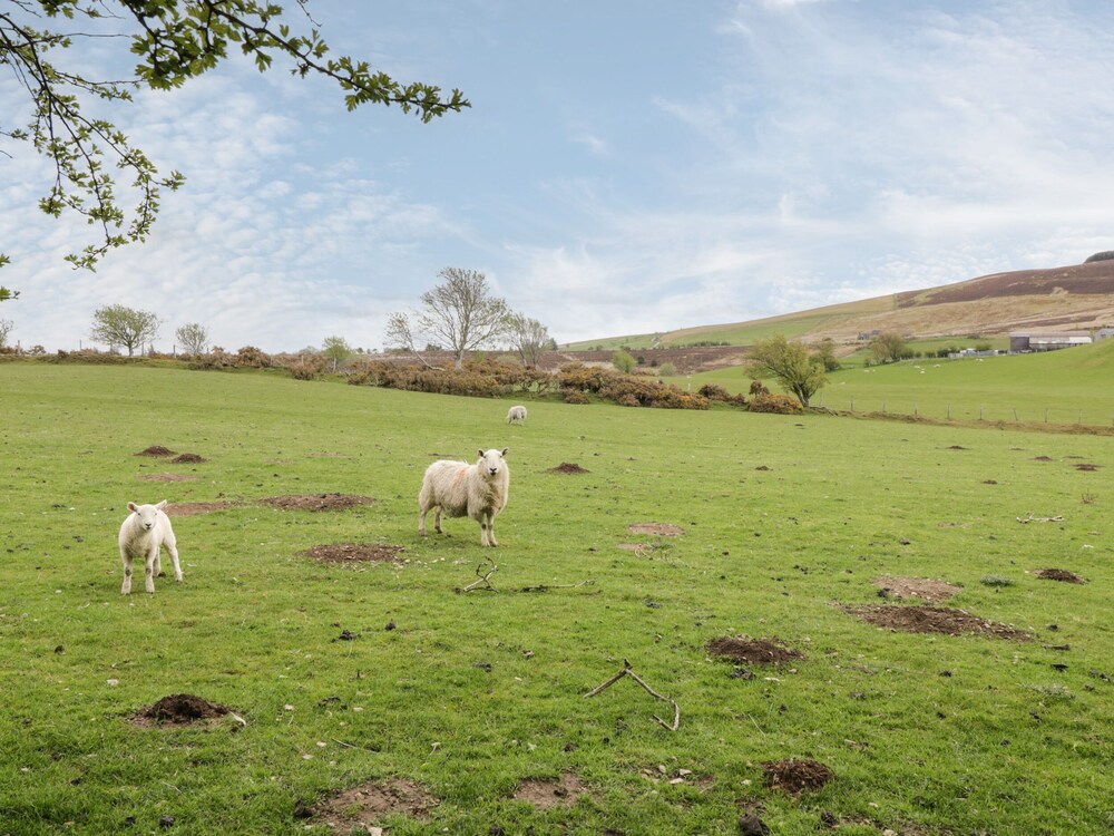 Glan Gors