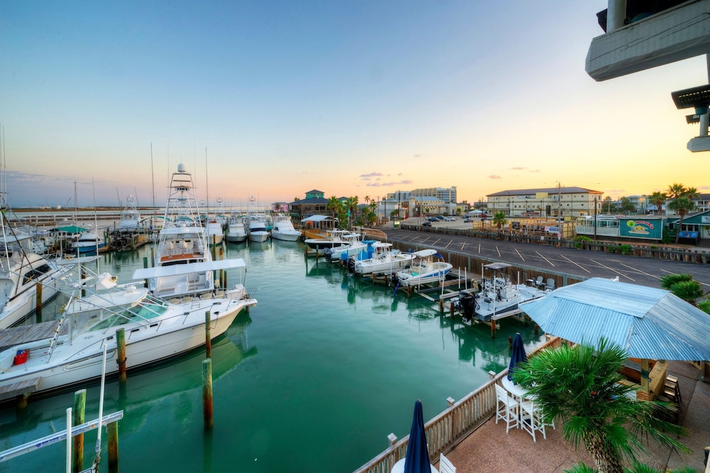 Blue Marlin at Trout Street Balcony w Marina Views Walk to Port A Nightlife