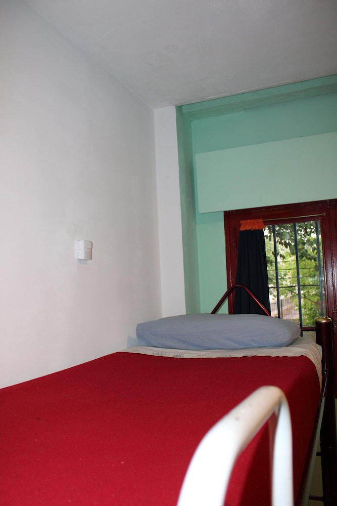 The Grapevine Hostel