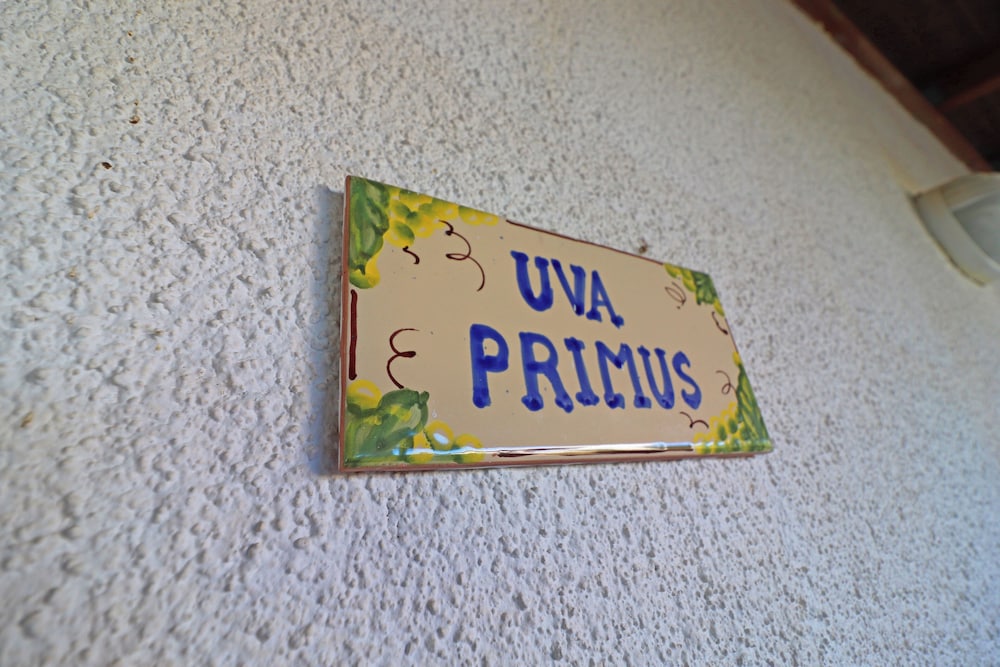 Photo 35
