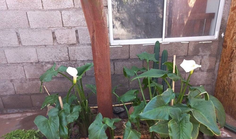 Casa Sutar 3 y 4