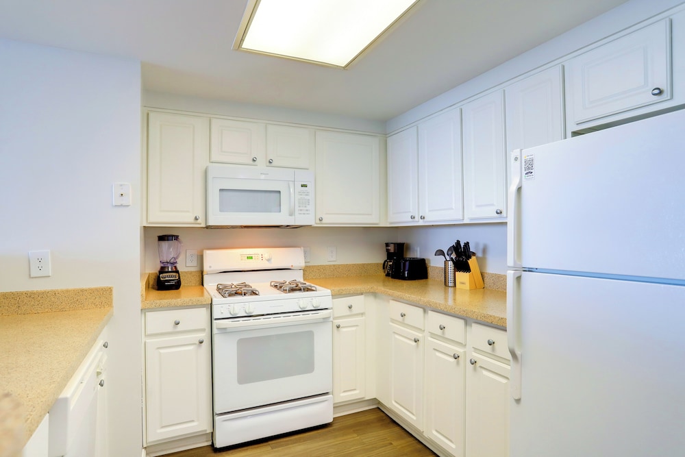 Apartments at the Heart of Arlington