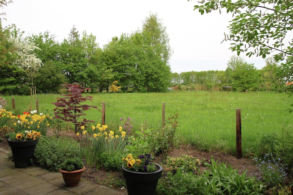 Photo 29