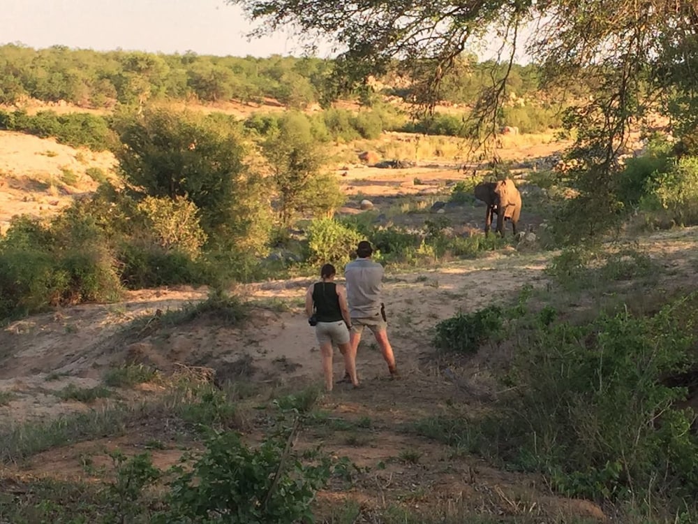 Mthimkhulu Private Game Reserve- Adults Only