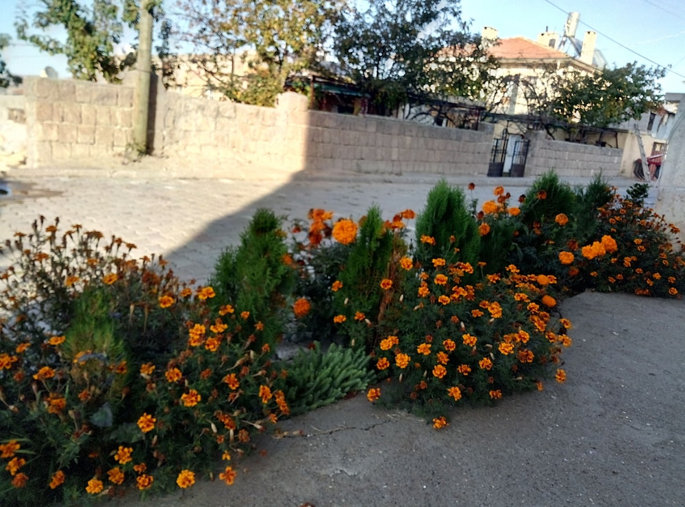 Photo 27