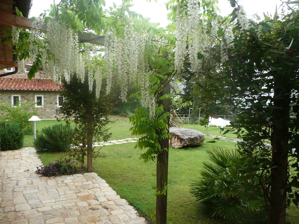 Photo 18