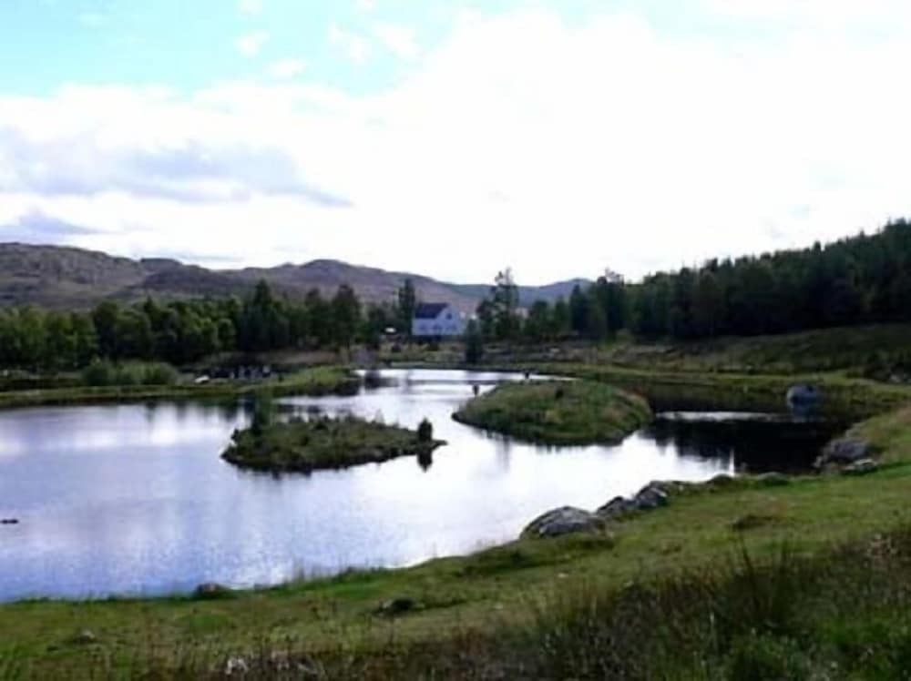Photo 8