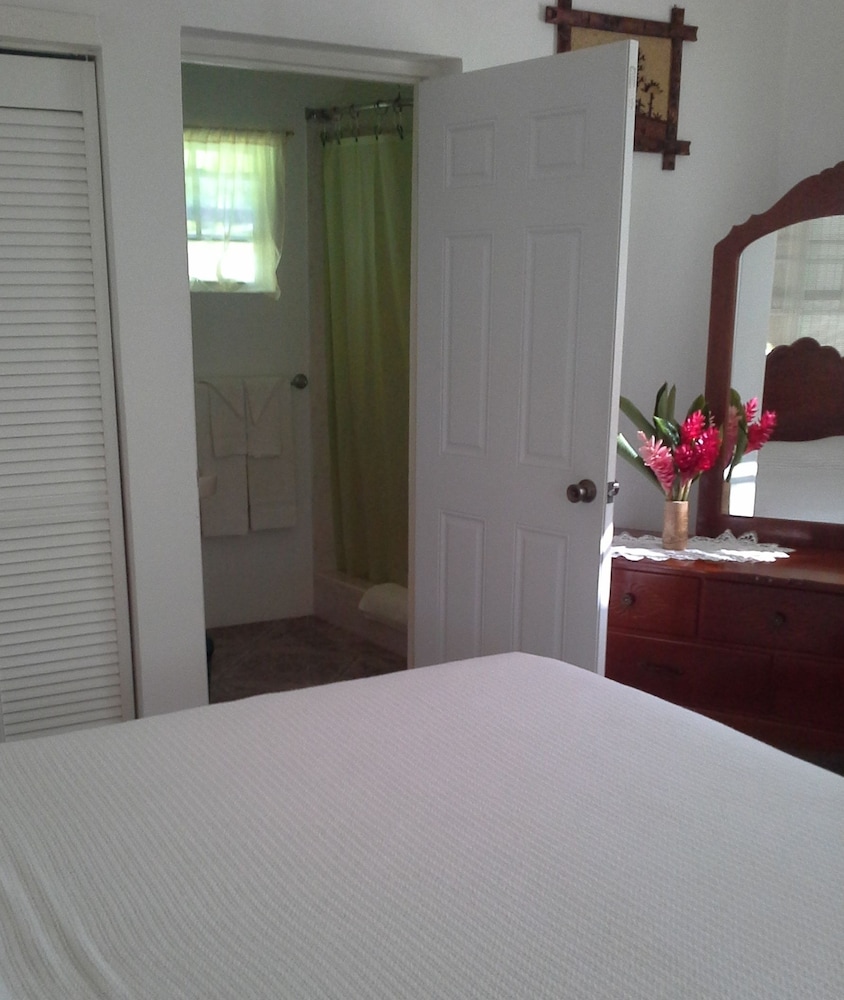 Port Antonio Vacations - Polish Princess Guest House - Property Image 3
