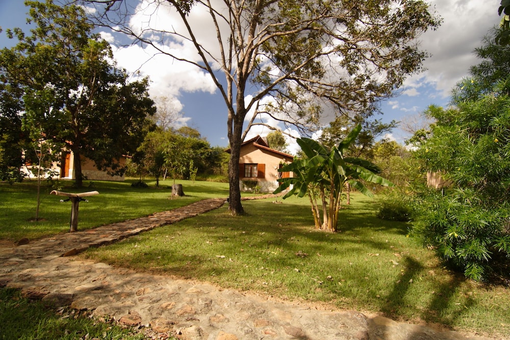 Photo 42