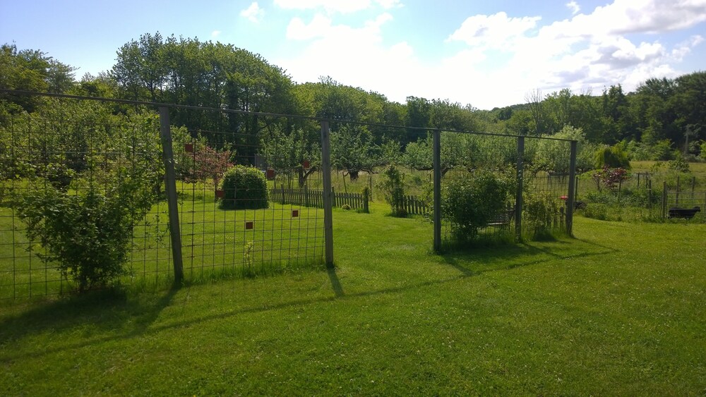 Photo 20