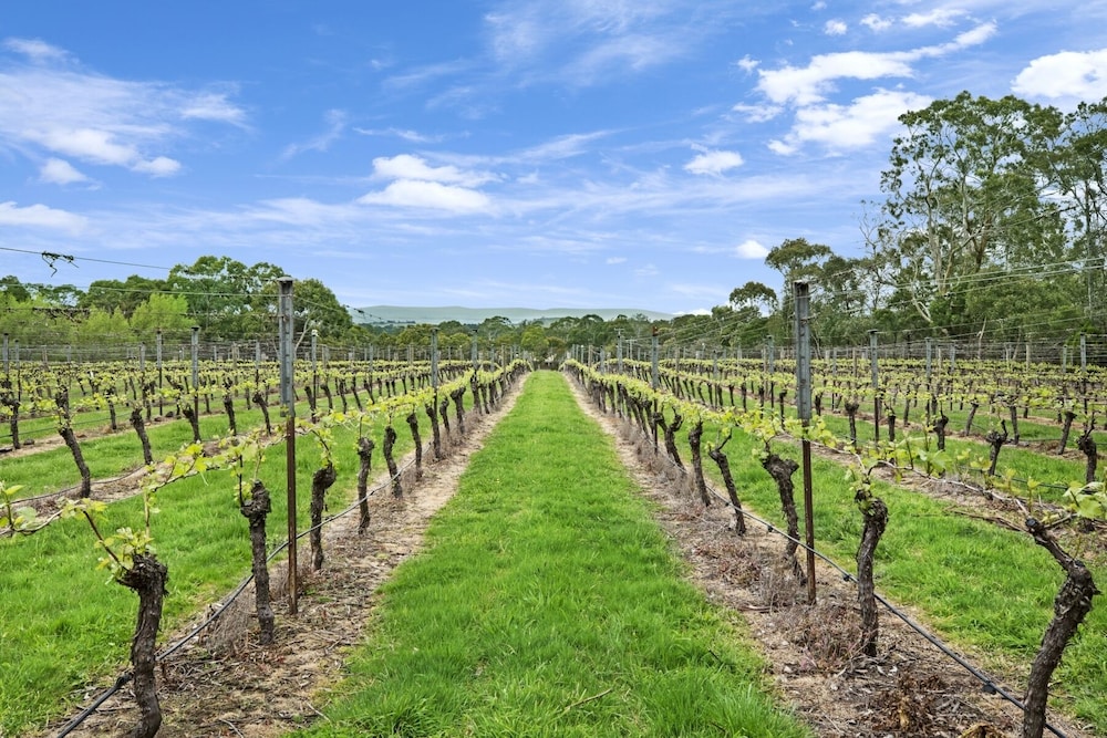 Gisborne Peak Winery Cottages