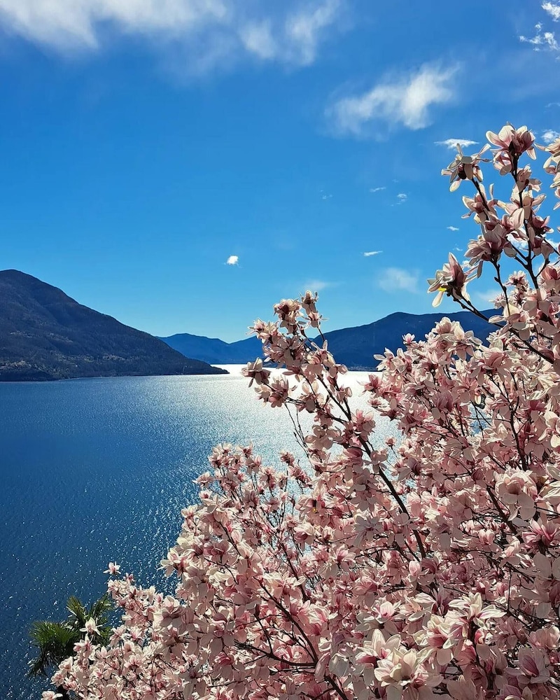 One & Only Losone Suite