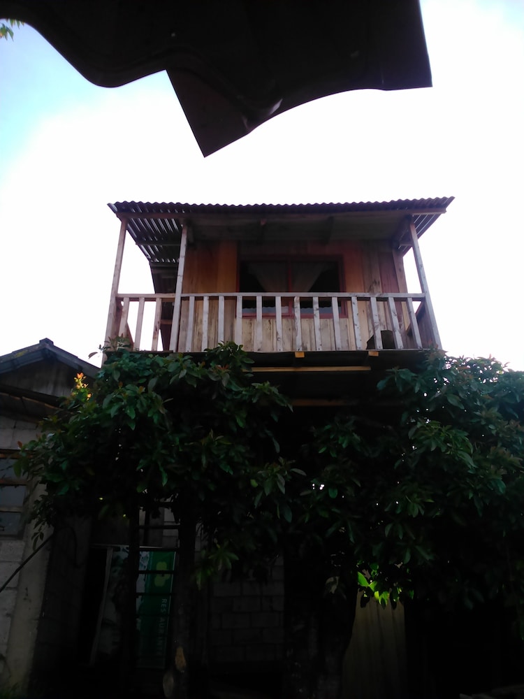 Rutun Orquídeas