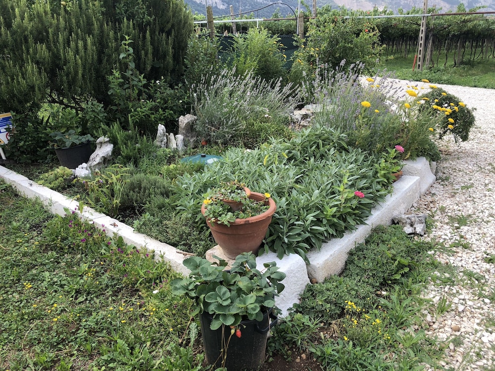 Agriturismo Tre Forti, Billede 50
