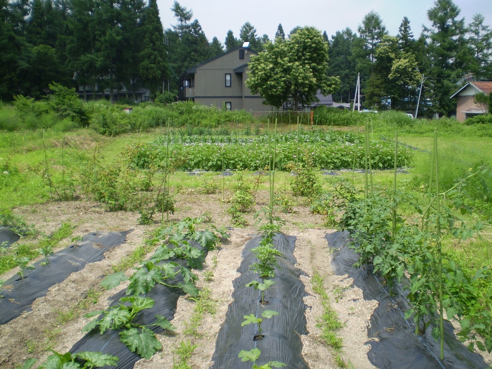 Pension Chauchau, Hakuba, Giappone - 15