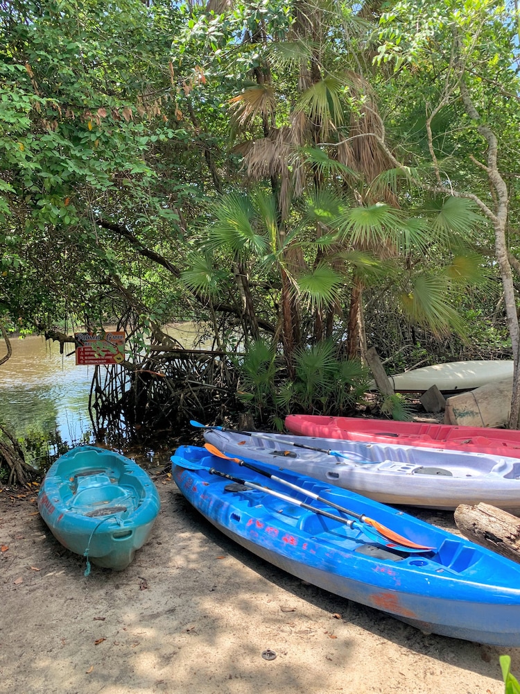 Palmento Grove Eco Cultural & Fishing Lodge