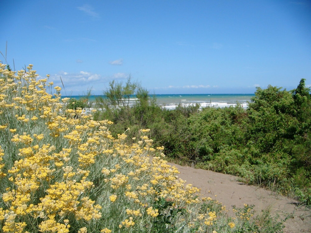 Haven Near Tuscan Beaches view 5
