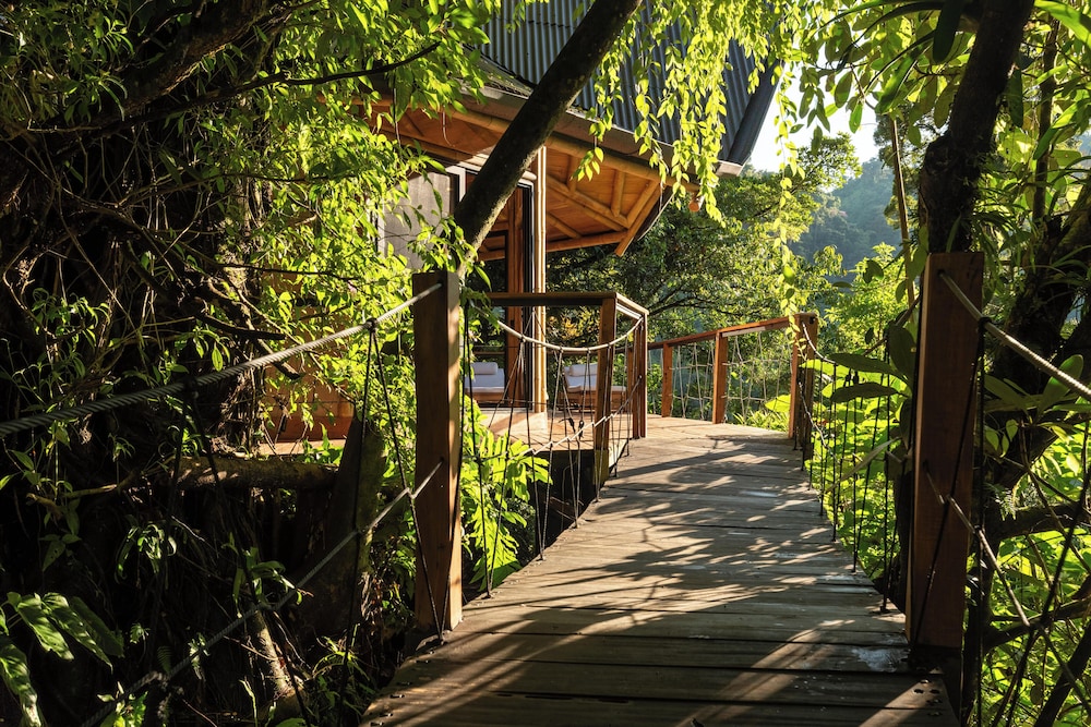 El Tigre Hideaway
