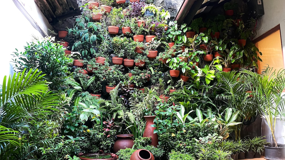 Huma Yogyakarta Hostel