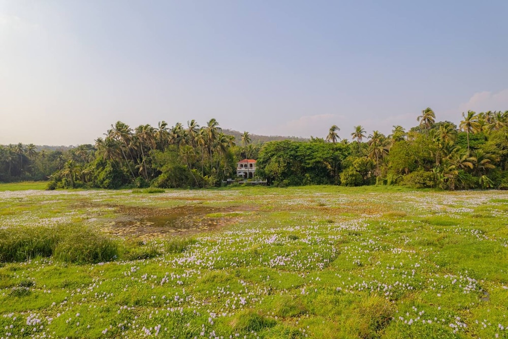 Loto Bianco by Hireavilla -4br w Pvt Pool Siolim