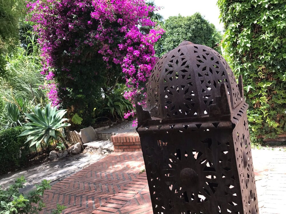 B&B Cortijo Andaluz