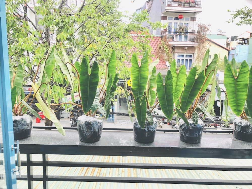 An's family homestay view 2