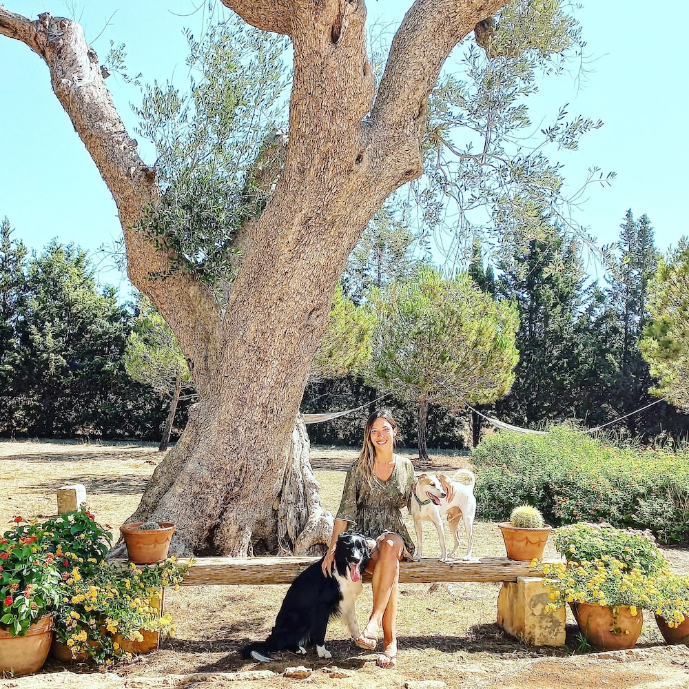 Masseria Fracchicchi