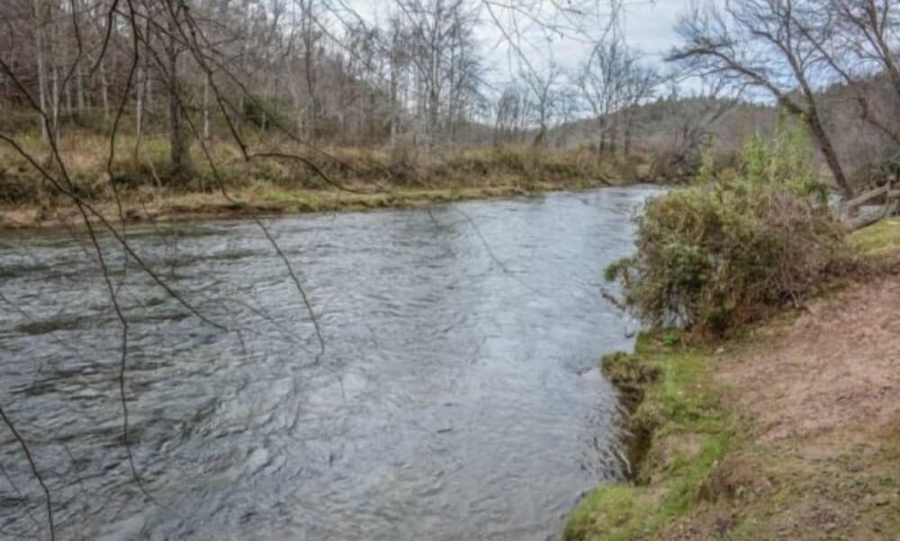 Toccoa Fish Tales view 4