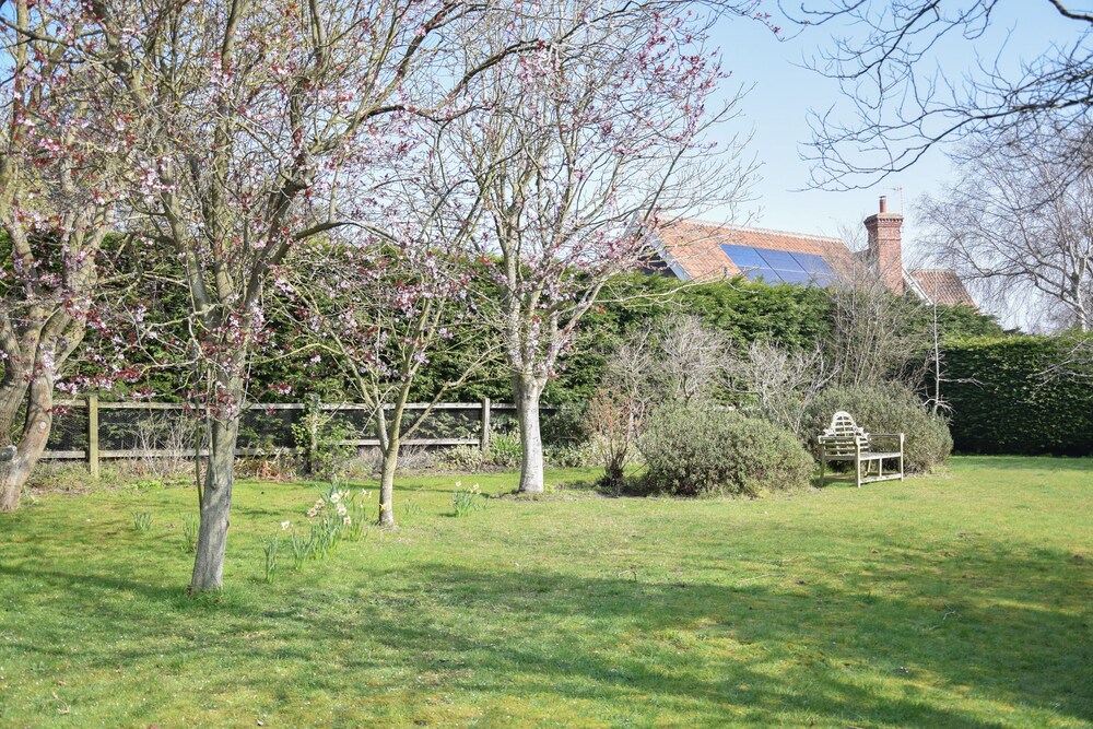 Lavvande, Walberswick