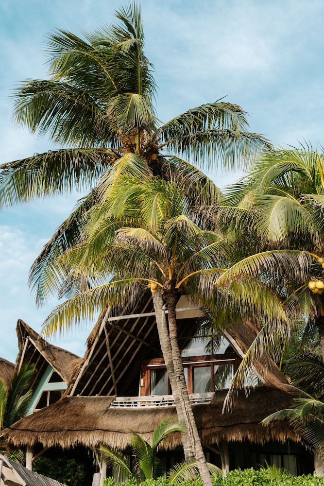 Ahau Beachfront Tulum Hotel 54