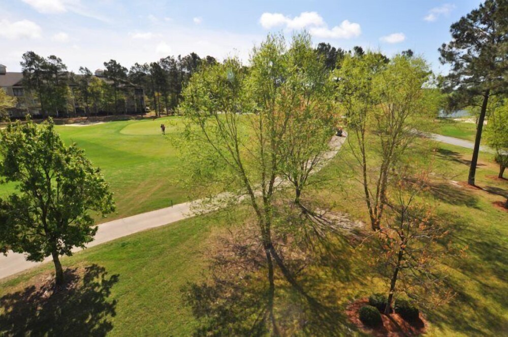 25019 Crow Creek Drive - Property Image 2