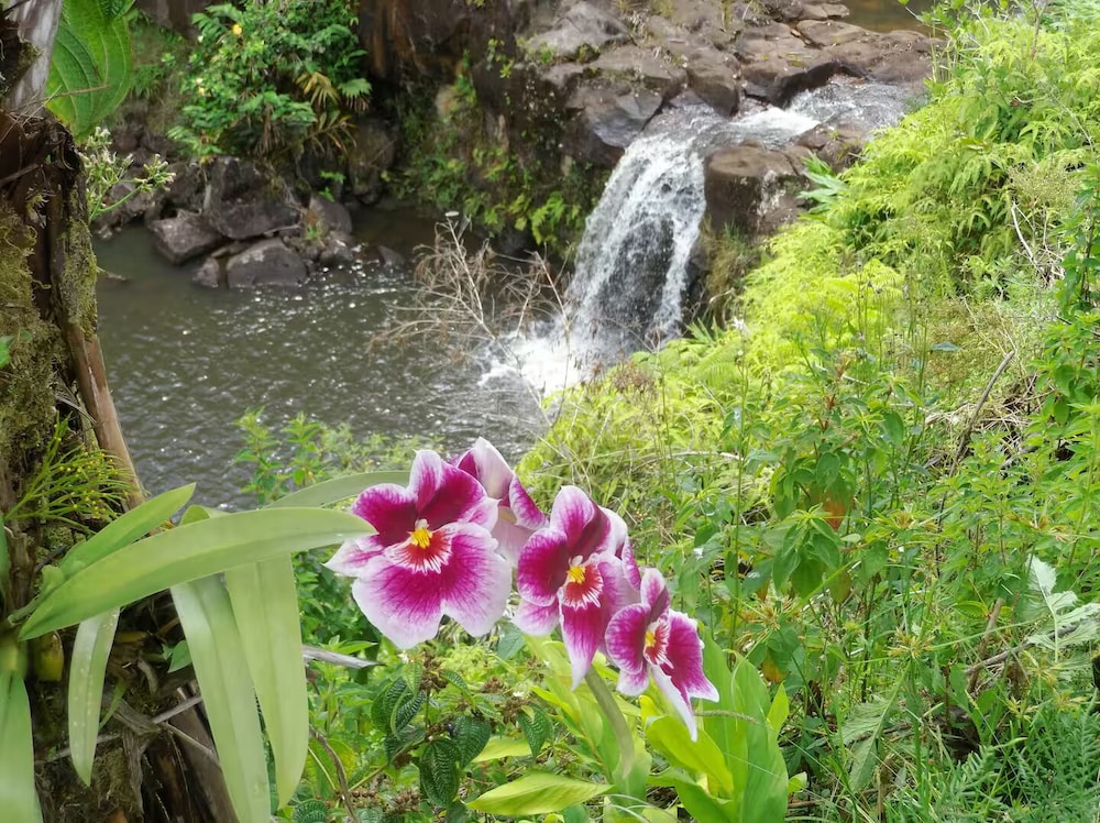 Kikala Waterfall Lodge