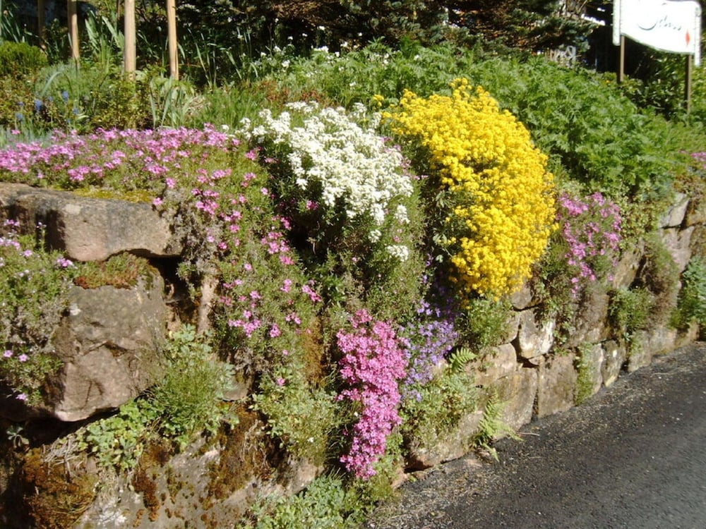 Oberrain in het